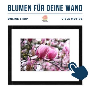 Onlineshop mit Motiven von Blumen und Blüten